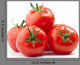 Tomatos Wall Decal