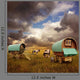Old Gypsy Caravans Trailers Wagons With Horses Wall Mural
