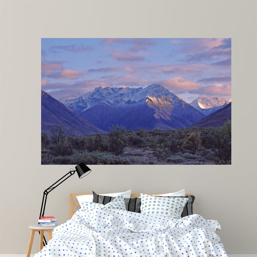 Denali Mountains Dawn