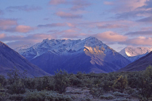 Denali Mountains Dawn
