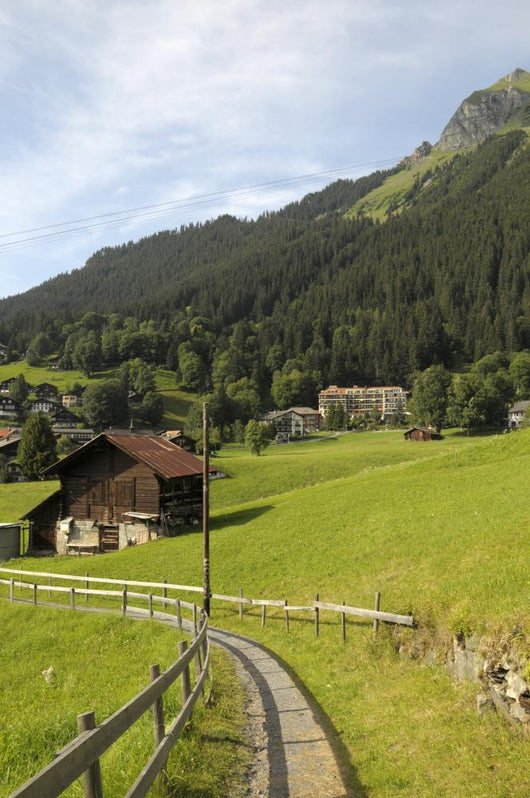 Path Village Wengen Swiss