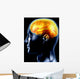 the brain Wall Mural