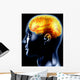 the brain Wall Mural