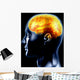the brain Wall Mural