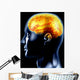the brain Wall Mural