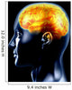 the brain Wall Mural