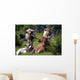 Longhorn Cattle Wall Mural