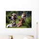 Longhorn Cattle Wall Mural