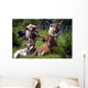 Longhorn Cattle Wall Mural