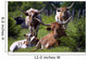 Longhorn Cattle Wall Mural