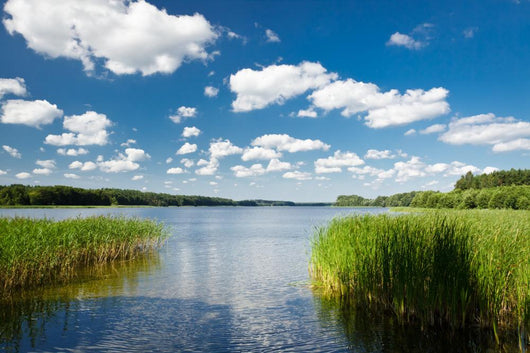 Summer Lake Park