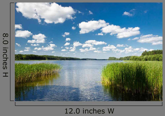 Summer Lake Park