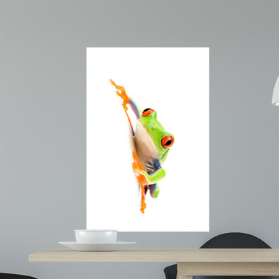 Frog White Wall Decal shown on a wall