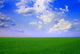 Field Landscape Wall Decal