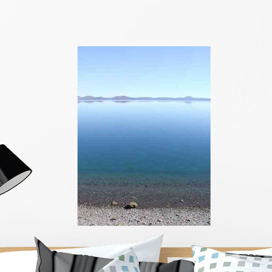 Sea Clam Wall Decal