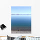 Sea Clam Wall Decal