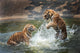 Tigers Play Water
