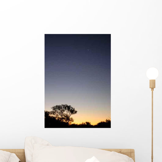 Le Ciel Nocturne (The Night Sky) Wall Decal