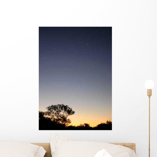 Le Ciel Nocturne (The Night Sky) Wall Decal