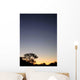 Le Ciel Nocturne (The Night Sky) Wall Decal
