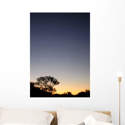 Le Ciel Nocturne (The Night Sky) Wall Decal