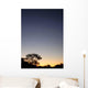 Le Ciel Nocturne (The Night Sky) Wall Decal