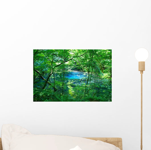 Woods Pond