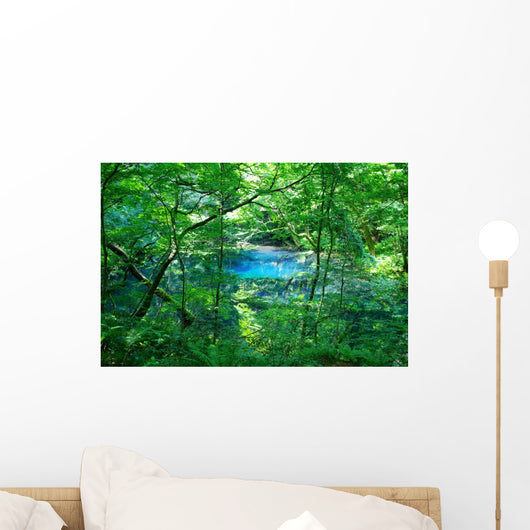 Woods Pond