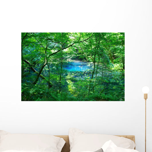 Woods Pond
