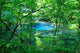 Woods Pond