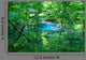 Woods Pond