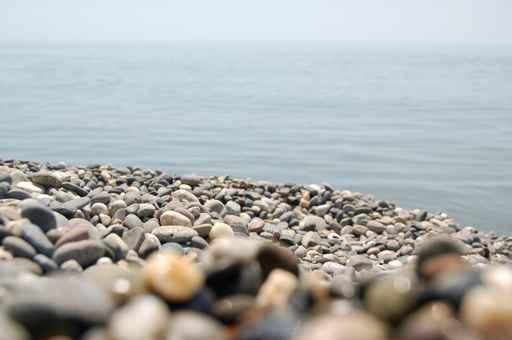 Pebble Beach Wall Decal