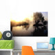 dramatic sunrise over a misty lake at dawn Wall Mural