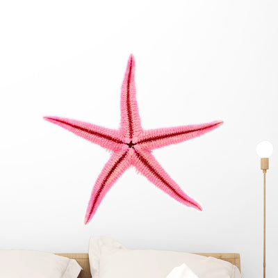 Pink Starfish Wall Decal shown on a wall
