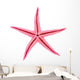 Pink Starfish Wall Decal