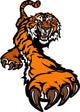 Tiger Mascot Body Prowling