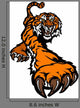 Tiger Mascot Body Prowling
