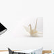 White Origami Crane