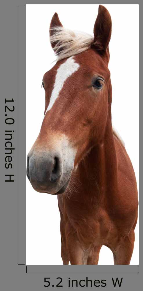 Red Horse