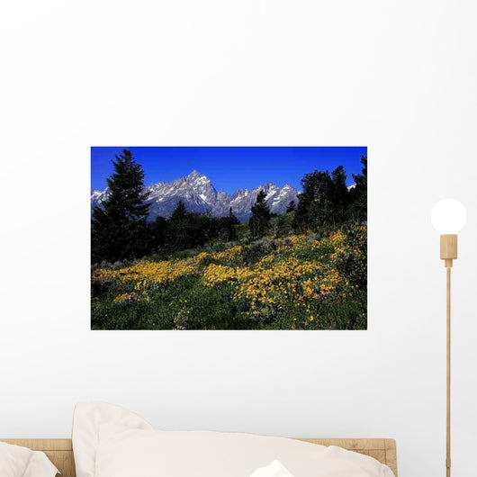 Grand Teton National Park Wall Decal