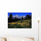 Grand Teton National Park Wall Decal