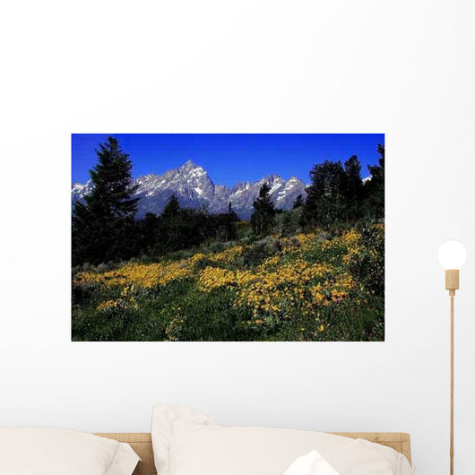 Grand Teton National Park Wall Decal