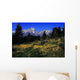 Grand Teton National Park Wall Decal