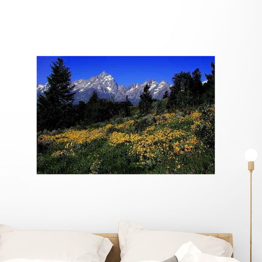 Grand Teton National Park Wall Decal