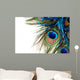 Peacock Feather