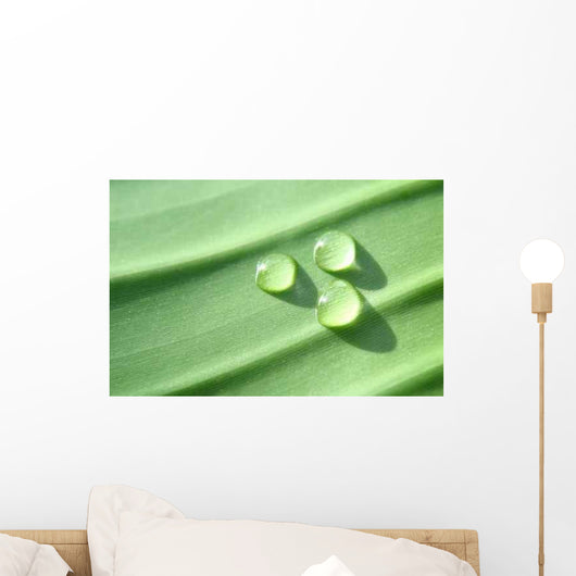 Drops Wall Decal