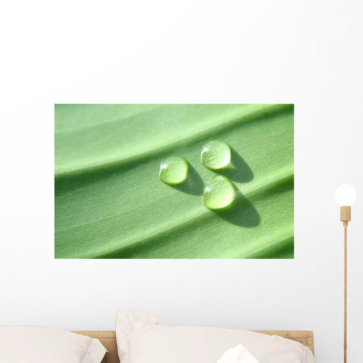 Drops Wall Decal