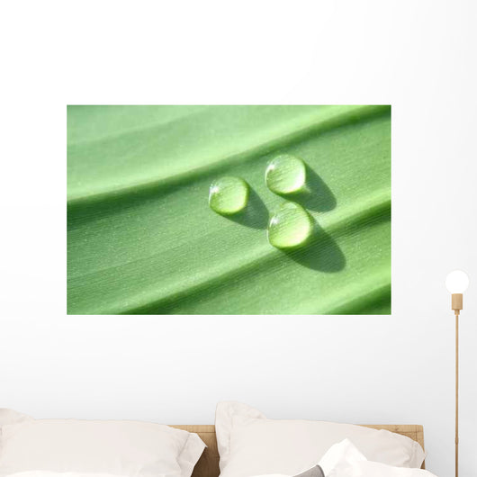 Drops Wall Decal