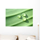 Drops Wall Decal