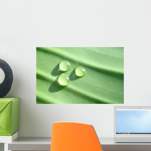 Wasserperlen Wall Decal